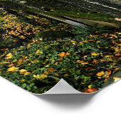 Brug bij Latourell-Herfsten, Oregon Poster (Hoek)