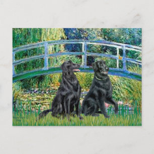 Brug - Flat Coated Retriever (twee) Briefkaart
