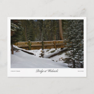 Brug in het Wuksachi-Briefkaart Briefkaart