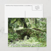 Brug in Ocala National Forest Florida, postkaart (Voorkant / Achterkant)