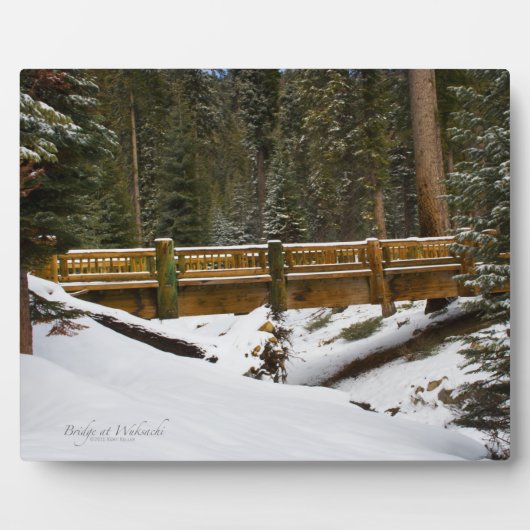 Brug in Wuksachi Fotoplaat (Voorkant)