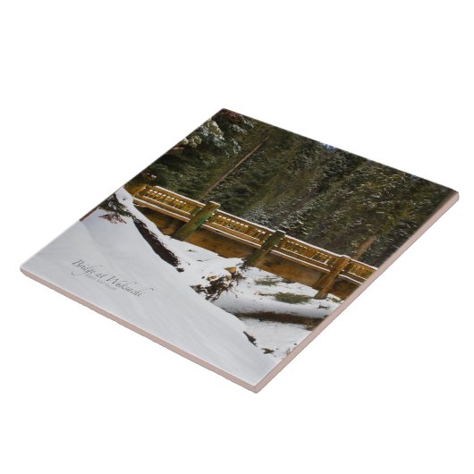 Brug in Wuksachi Tegeltje (Zijkant)