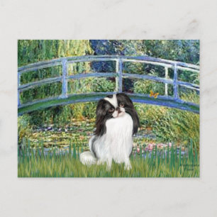 Brug - Japanse Chin 2 Briefkaart