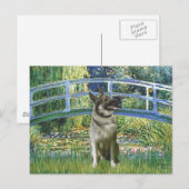 Brug - Noorse elandhond Briefkaart (Voorkant / Achterkant)