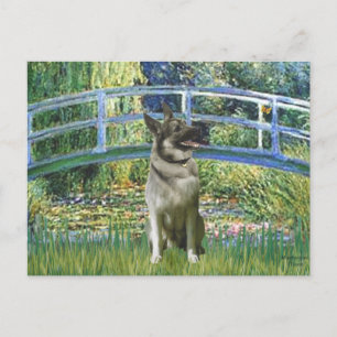 Brug - Noorse elandhond Briefkaart