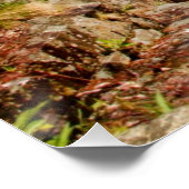 Brug over de rivier perfect poster (Hoek)