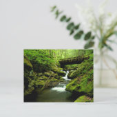 Brug over de Roaring Fork Briefkaart (Staand voorkant)