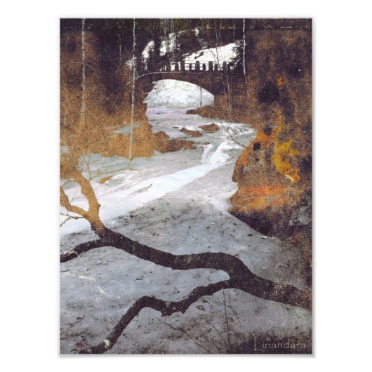 Brug over een bevroren stroom door Alexandra Cook Foto Afdruk (Voorkant)