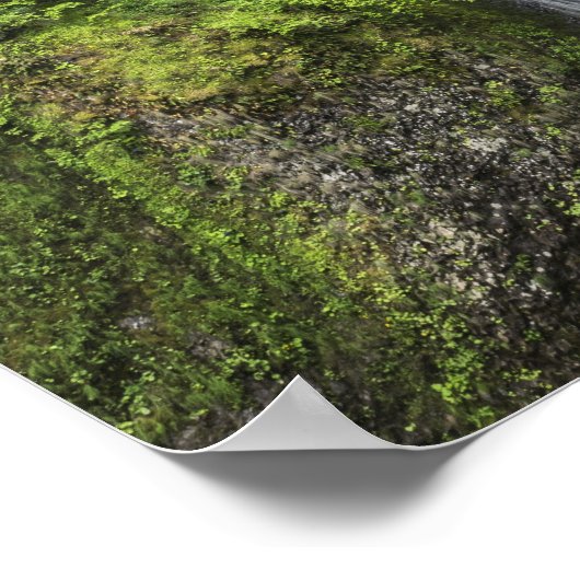 Brug over het watervallandschap poster (Hoek)