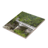 Brug over Stream, Nationaal Park Tsitsikamma Tegeltje (Zijkant)