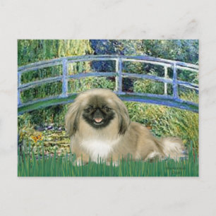 Brug - Pekingese 1b Briefkaart