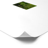 Brug poster (Hoek)
