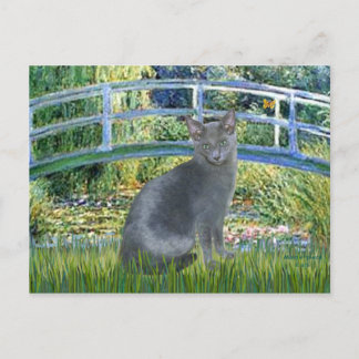 Brug - Russische Blauwe kat 2 Briefkaart