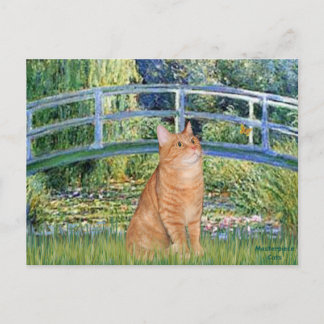 Brug - Sinaasappel Tabby SH cat 46 Briefkaart