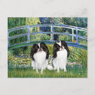 Brug - Twee Japanse Chins (2BW) Briefkaart