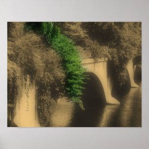 Brug van bloemen gedeeltelijke kleur poster