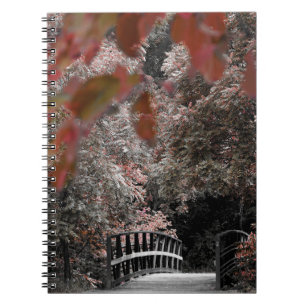 Brug Wandelpad Route In Natuurfotografie Notitieboek