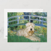 Brug-Wheaten Terrier 1 Briefkaart (Voorkant / Achterkant)