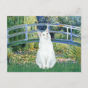 Brug - Witte kortharige kat Briefkaart