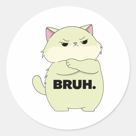 Bruh Kitty Sticker (Voorkant)