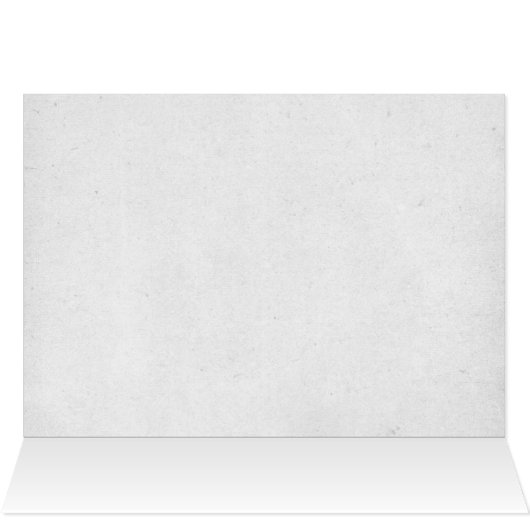 bruid en bruidegom aan de kust (Binnen Horizontaal (Boven))