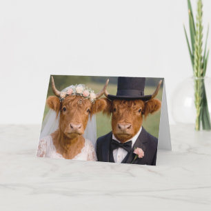 Bruid en Bruidegom Hooglanders Kaart