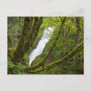 Bruids sluier waterval briefkaart