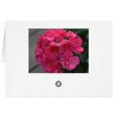 Bruidsdouche Rose Geranium Bedankkaart Blanke Kaar (Achterkant Horizontaal)