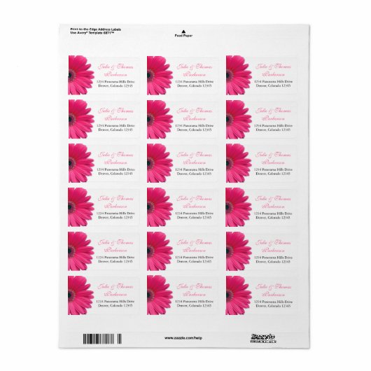 Bruiloft Adresetiketten | Roze Gerbera Daisy Zwart Etiket (Full Sheet)
