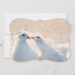 Bruiloft Bewaar de datum Kissing Doves Save The Date