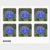 Bruiloft Envelop Stickers Blauw Hydrangea Bloem (Vel)
