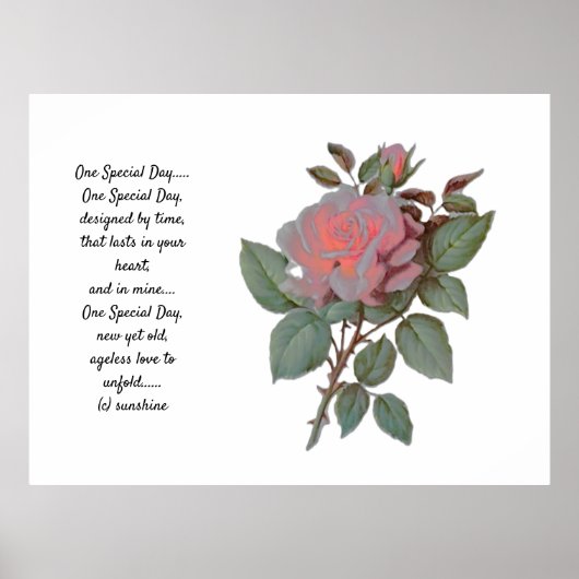 BRUILOFT POSTER EEN SPECIALE DAG GEDICHT (Voorkant)