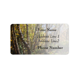 Bruin Autumn Forest Landscape, Birch Trees Etiket