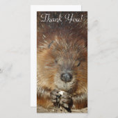 Bruin beaver Nibbles voedsel uit stutten kleine po Bedankkaart (Voorkant / Achterkant)