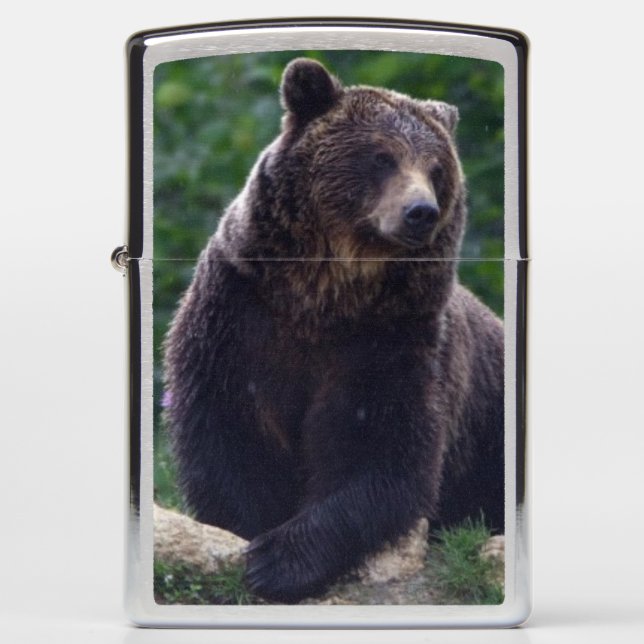 Bruin beer (Voorkant)