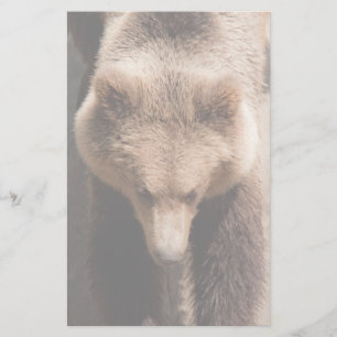 Bruin beer briefpapier