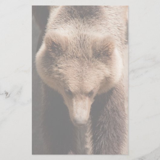 Bruin beer briefpapier (Voorkant)