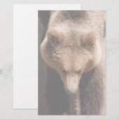 Bruin beer briefpapier (Voorkant / Achterkant)