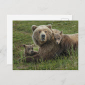 Bruin Beer Cubs die met hun moeder rondlopen Briefkaart (Voorkant / Achterkant)
