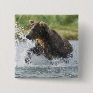 Bruin Beer dat zalm achtervolgt in de rivier Vierkante Button 5,1 Cm
