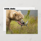 Bruin Beer dat zalm eet Briefkaart (Voorkant / Achterkant)