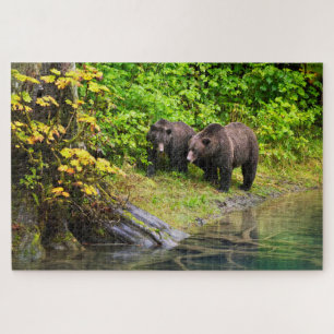 Bruin Beer en kauwen   Hyder, Alaska Legpuzzel