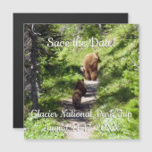 Bruin Beer familie (Voorkant / Achterkant)