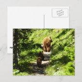 Bruin Beer familie Briefkaart (Voorkant / Achterkant)