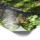 Bruin Beer familie Foto Afdruk (Hoek)