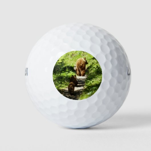 Bruin Beer familie Golfballen (Voorkant)