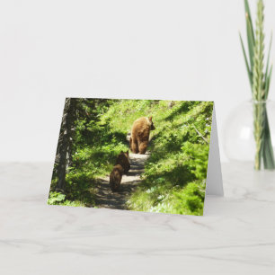 Bruin Beer familie Kaart