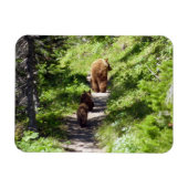 Bruin Beer familie Magneet (Horizontaal)