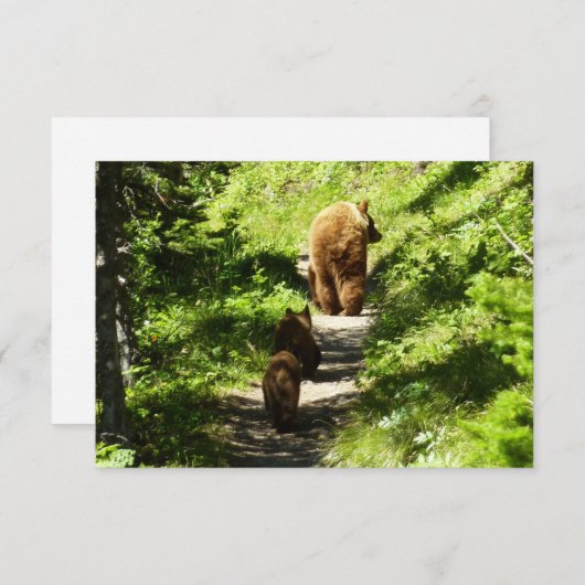 Bruin Beer familie Notitiekaartje (Voorkant / Achterkant)