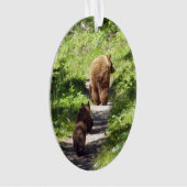 Bruin Beer familie Ornament (voorkant)